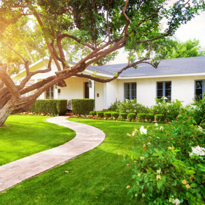 landscaping rental property