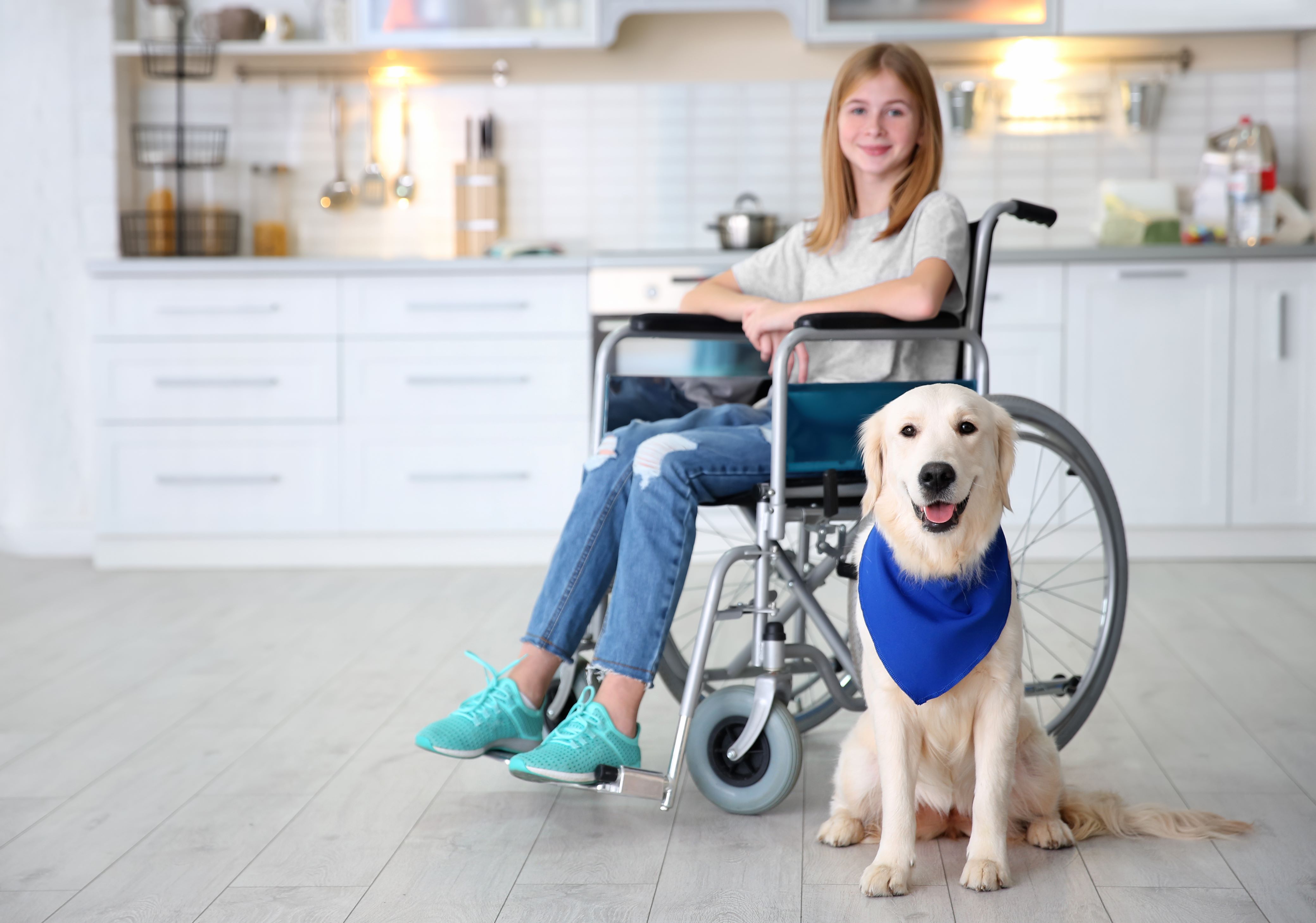 service dog beside girl in wheelchair